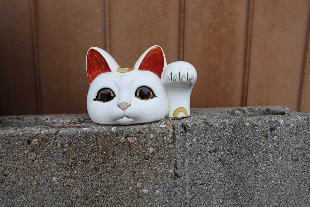 猫のいる風景