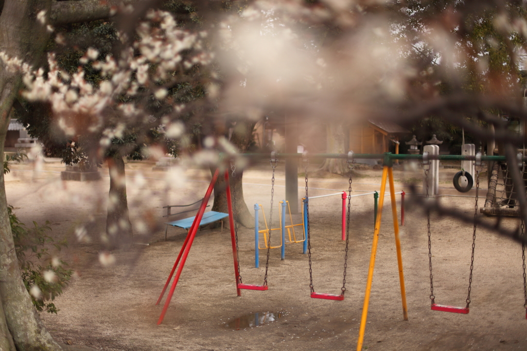 3月の公園