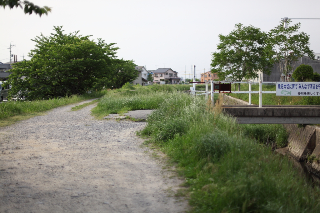 田舎道