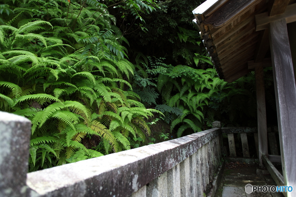 お寺の裏山