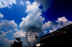 真夏のオアシス