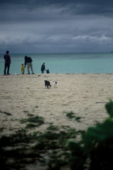 コンドイビーチ・冬
