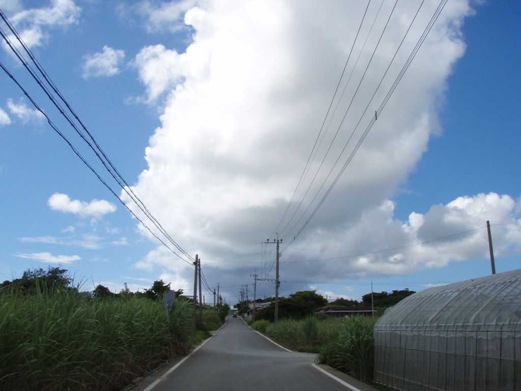 夏雲