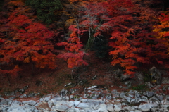 香嵐渓・晩秋