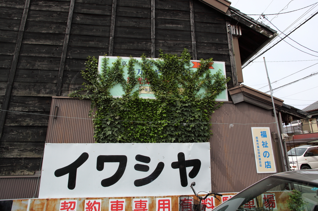 いわしや