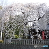 DSCF0613-1