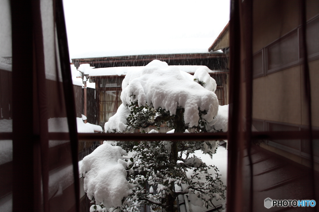 外は雪