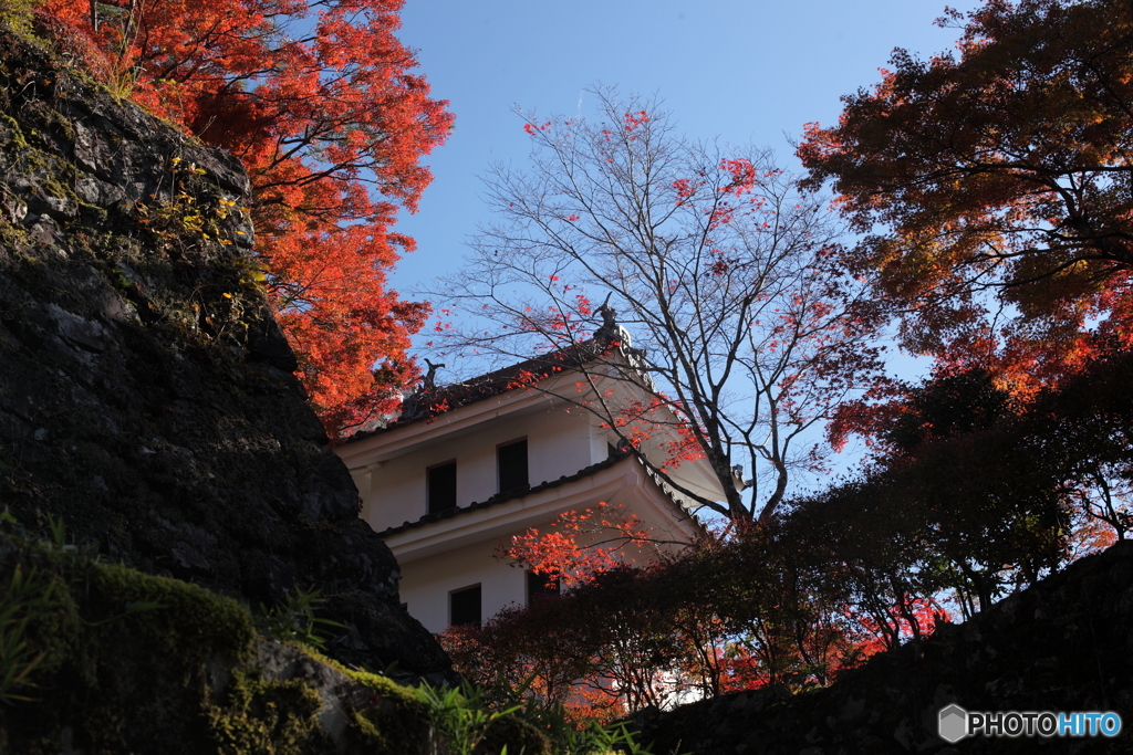 IMG_9371-1　郡上八幡の秋