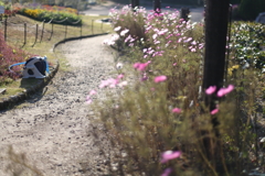 散歩道