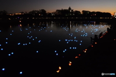DSCF0523-1　泰平の祈り