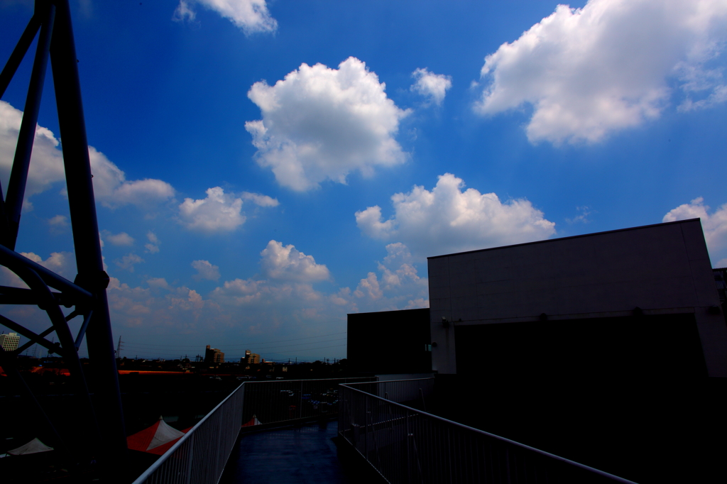 夏雲
