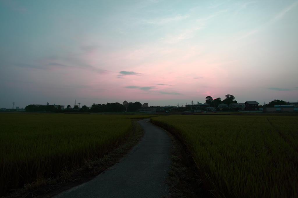 朝焼け散歩道