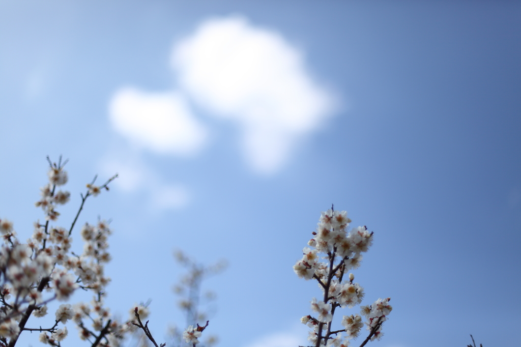 3月の空