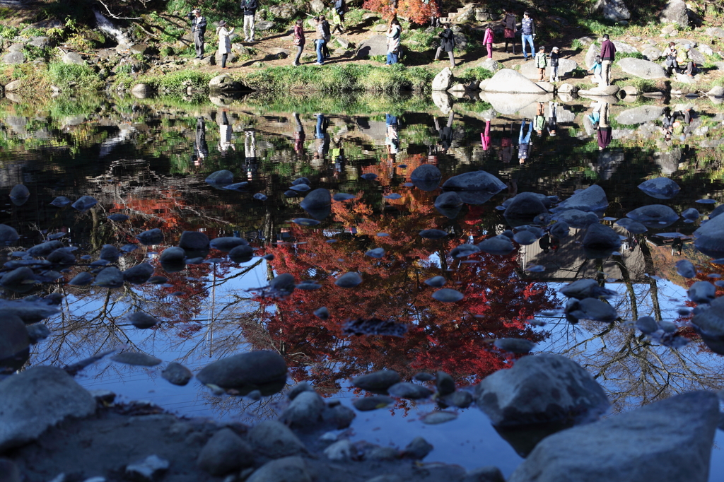 逆さ紅葉