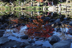 逆さ紅葉