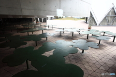 IMG_8982-1
