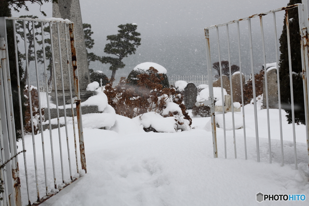 雪の外人墓地