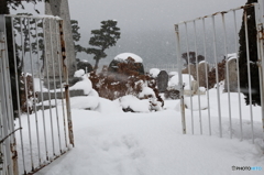 雪の外人墓地