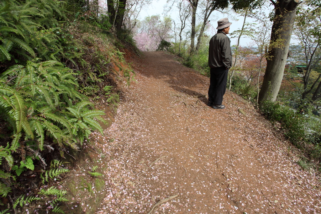 散歩道