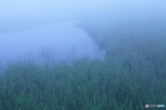 湖畔霧情