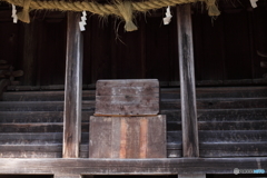 IMG_8858-1