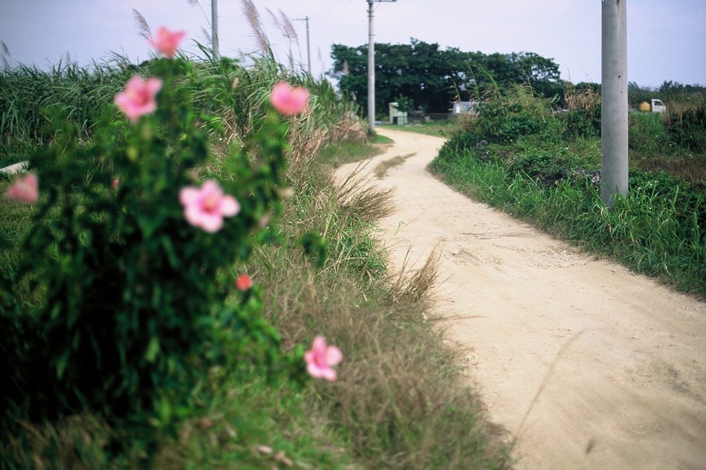 道