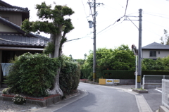 気になるカーブ（２）