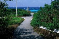 ニシハマへの道