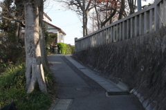 坂道の向こう