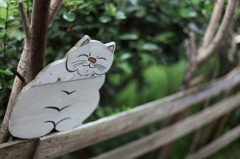 尾道の猫