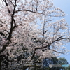 DSCF0617-1