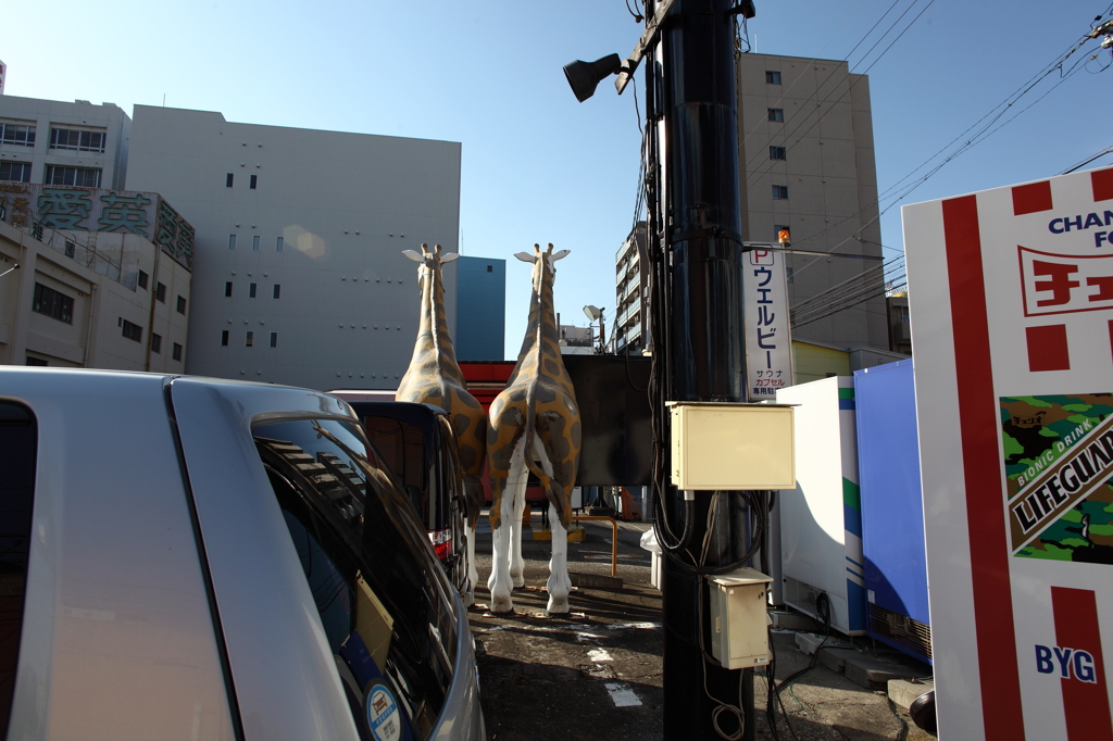 NAGOYA