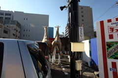 NAGOYA