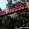 真福寺の赤い橋