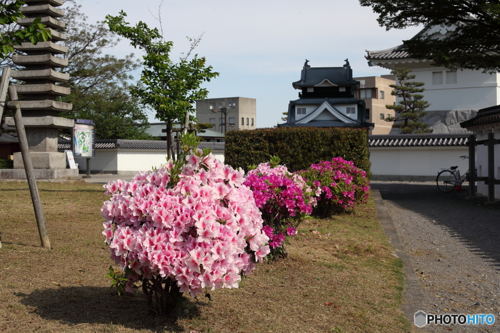 岡崎公園