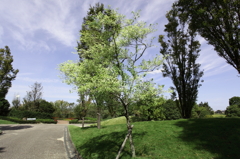 風は秋の色（２）