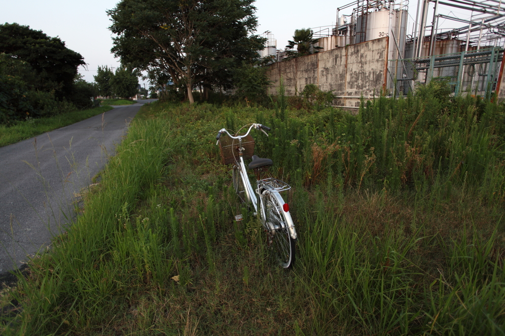 朝の自転車