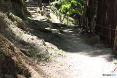 香嵐渓・夏の光