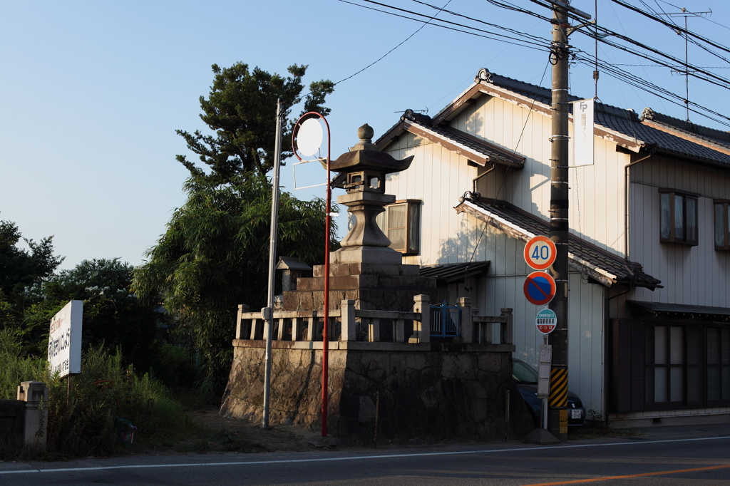 8月の朝