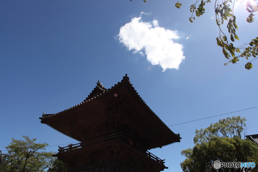 大樹寺