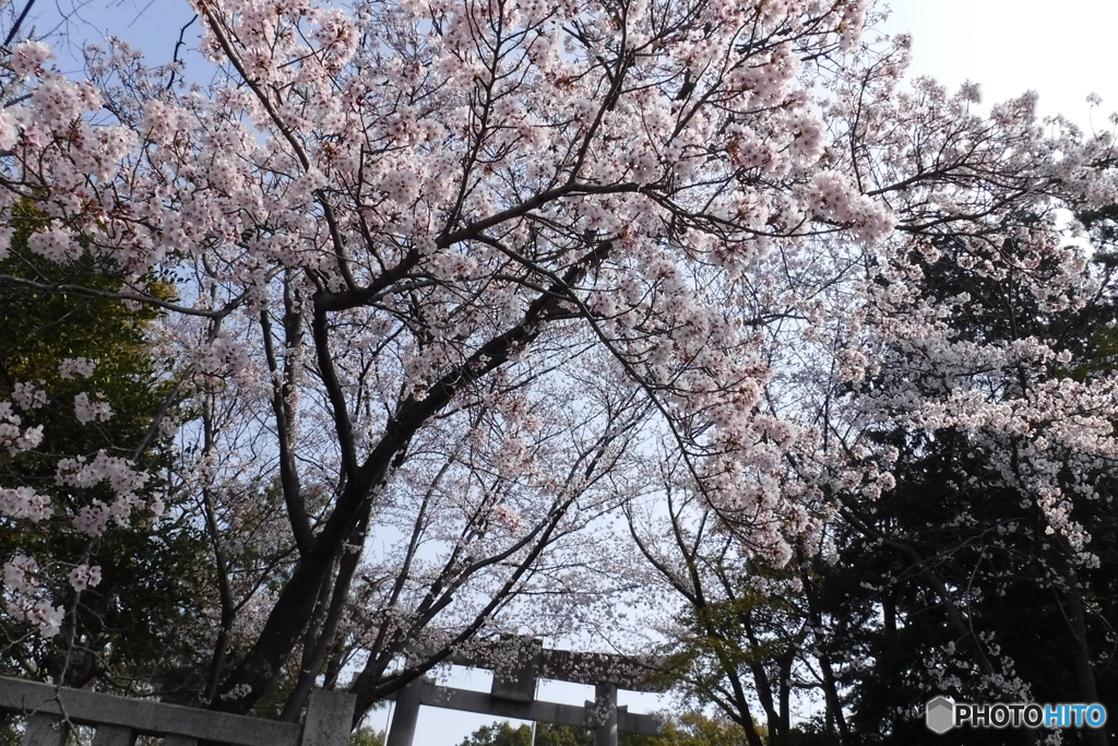 DSCF0600-1