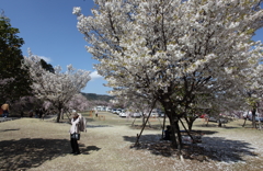 太陽の暖かさ