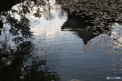 高知城の池