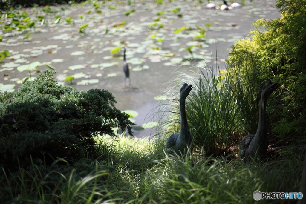 植物園