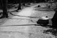 散歩道