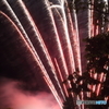 真夏の夜の夢