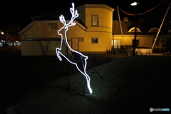 IMG_0196-1
