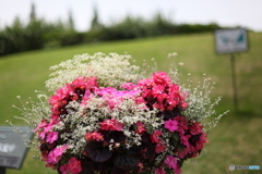 植物園