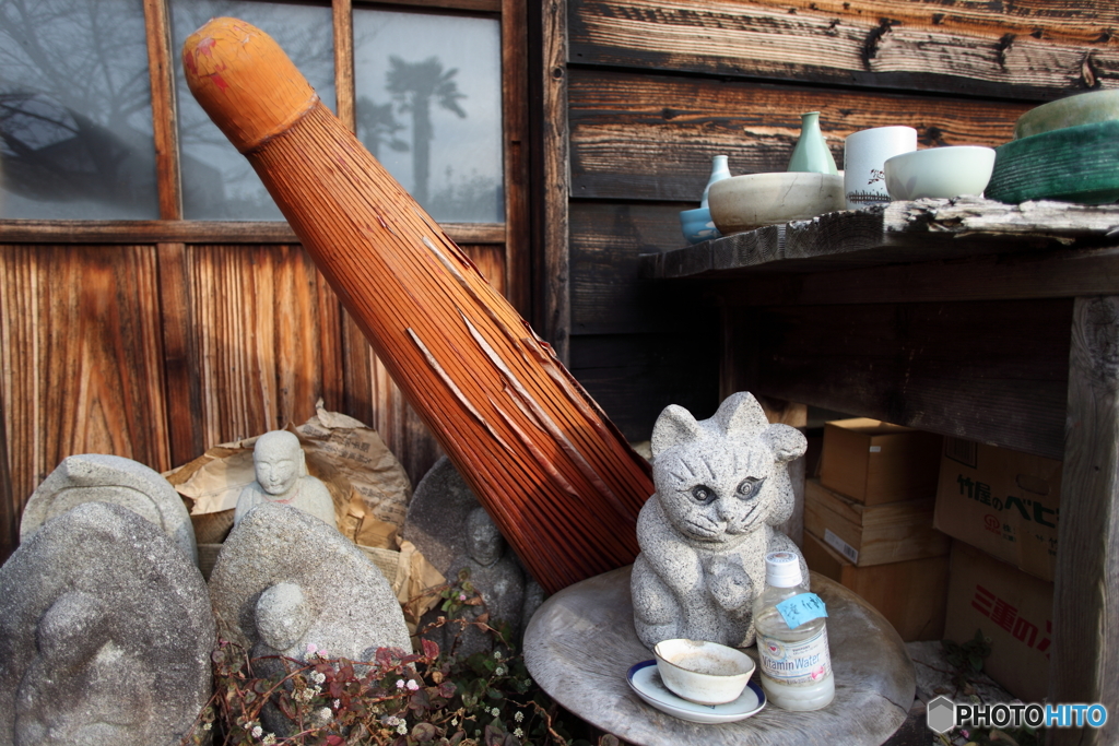 猫のいる風景