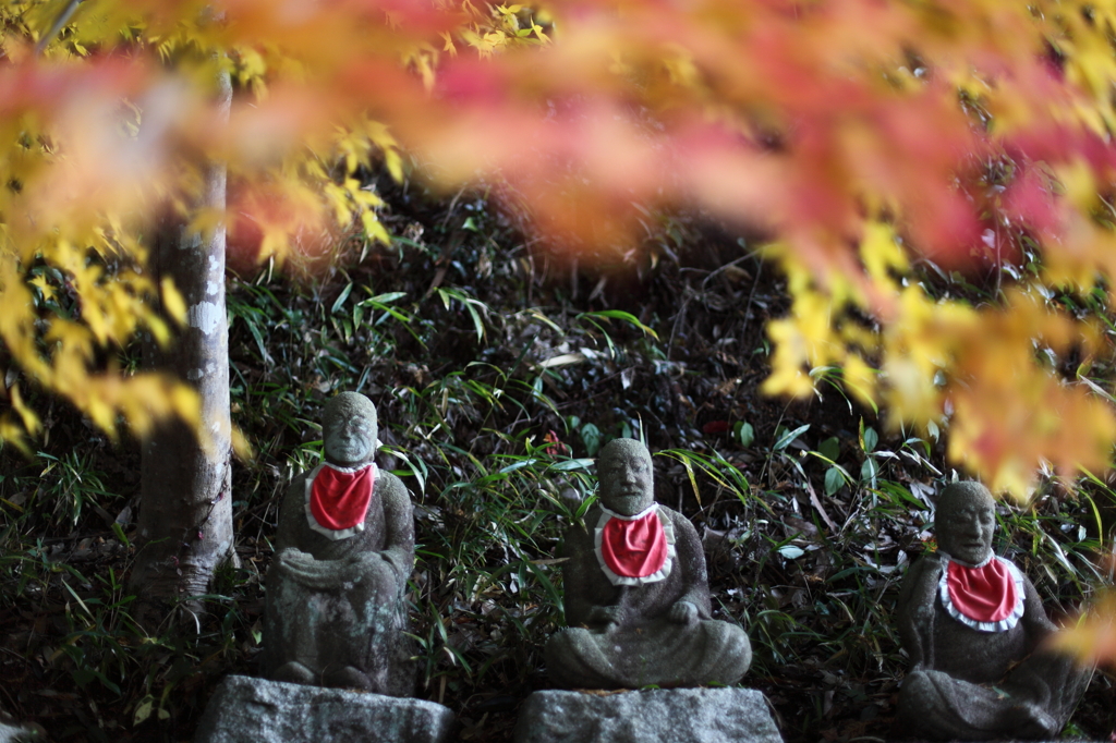 羅漢様の紅葉狩り